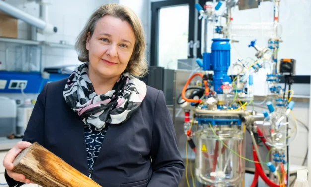 Wie Holzreste zur Basis für neue Arzneimittel werden