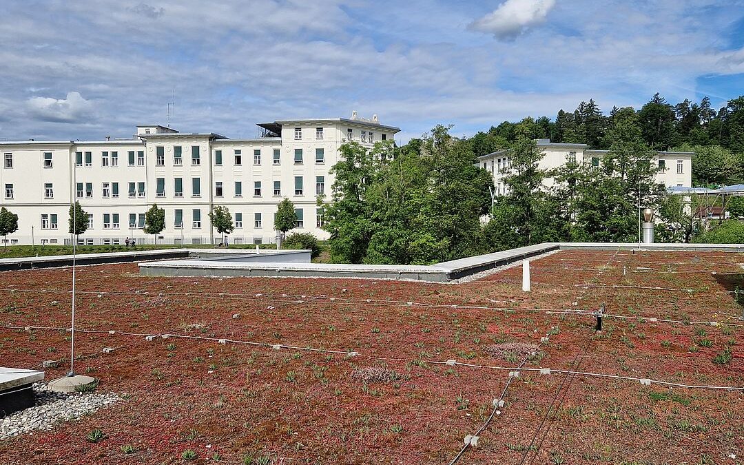 Uniklinikum Graz erhält Staatspreis für Klimaanpassung