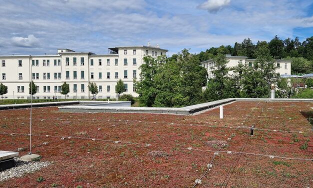 Uniklinikum Graz erhält Staatspreis für Klimaanpassung