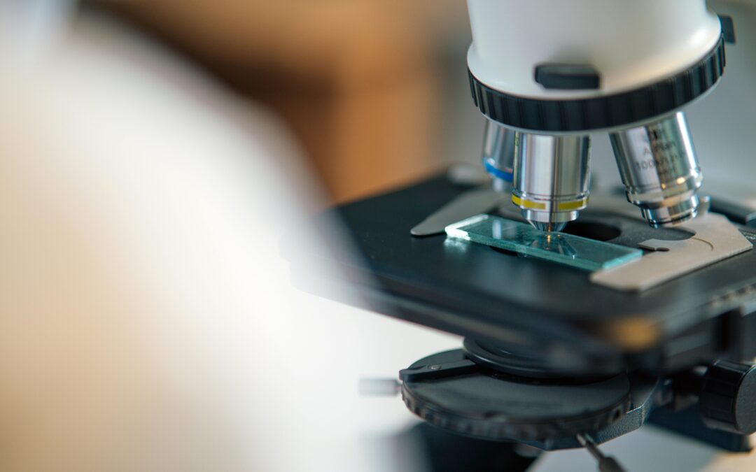 Fachhochschulen fordern Reformen für Forschung und Doktorate