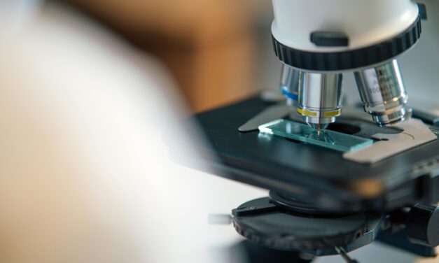 Fachhochschulen fordern Reformen für Forschung und Doktorate