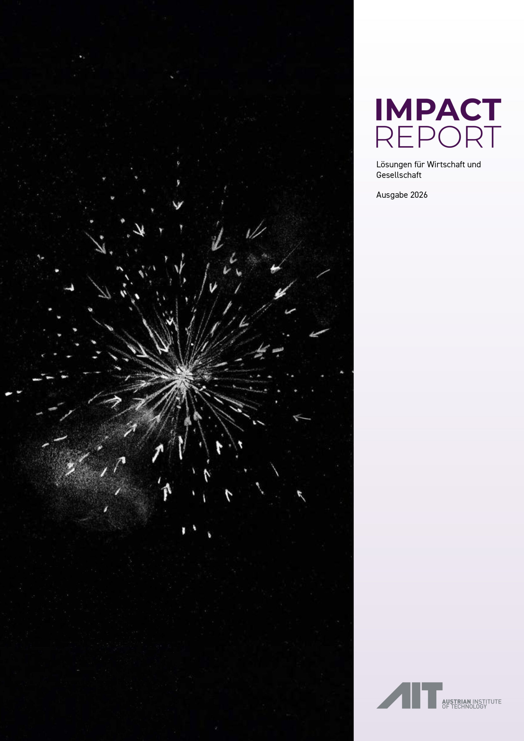 AIT – Impact Report 2025