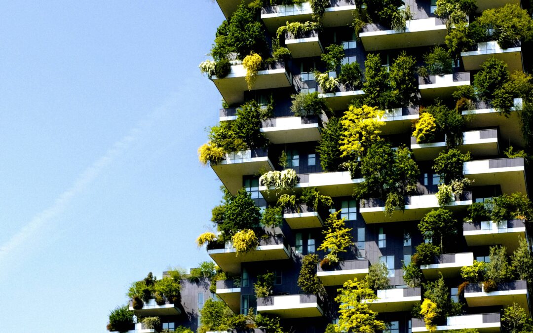 Gebäudebegrünung: Wien startet kostenlose Beratung