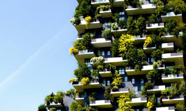 Gebäudebegrünung: Wien startet kostenlose Beratung
